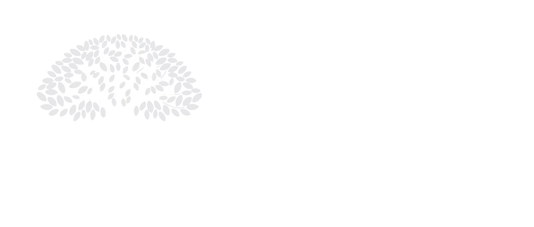Footer logo of The Author Nest